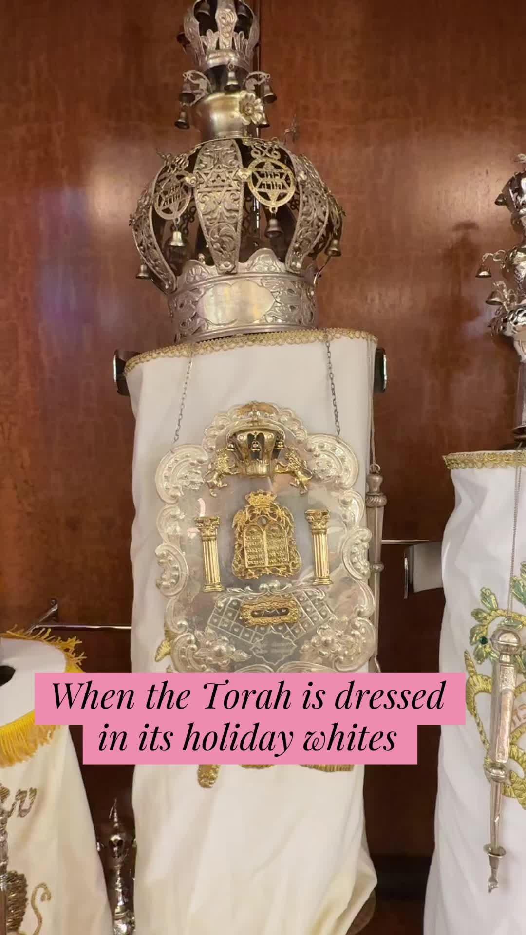 @Rabbi Seth Goldstein
