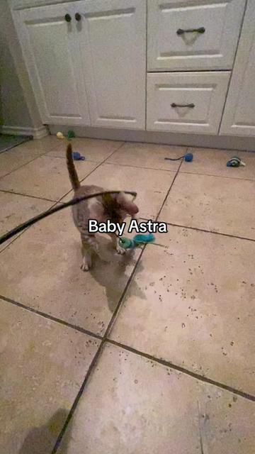 @Monster Mia
