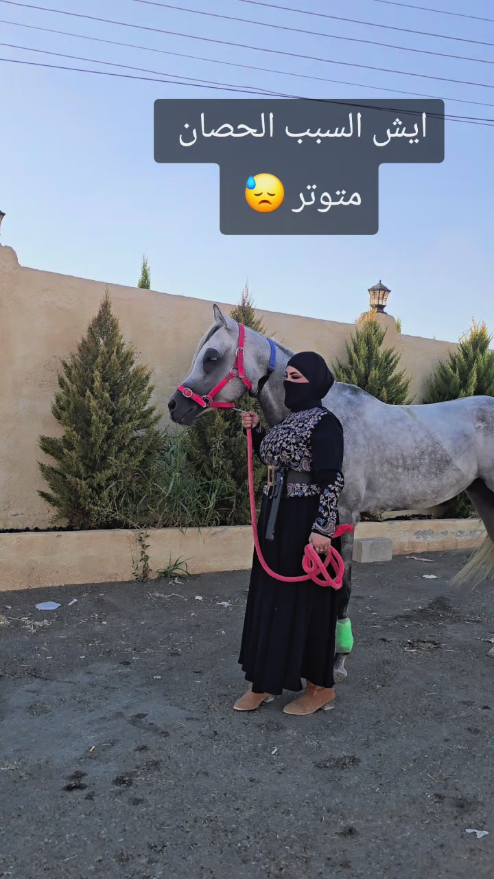 @الفارسة الملثمة 🐎🥷