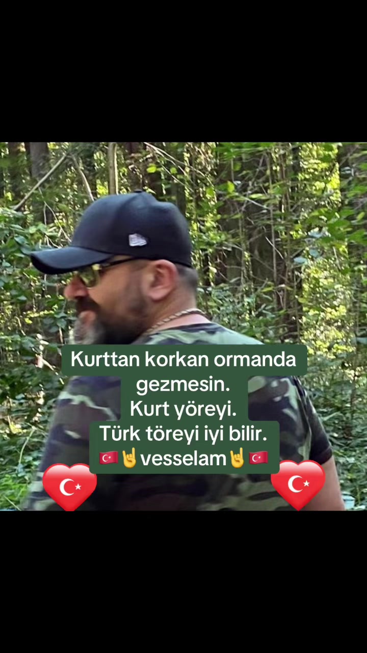 @dilavereryilmaz