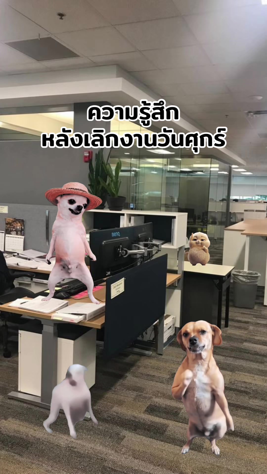 @ฮิปโปตด