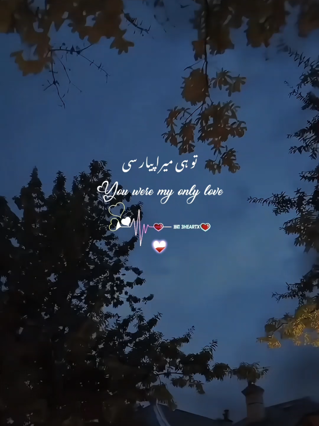 @ᥫ᭡³Hҽαɾƚx