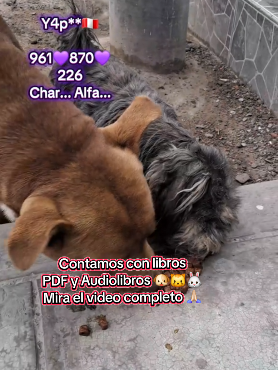 @Will AnimaLover