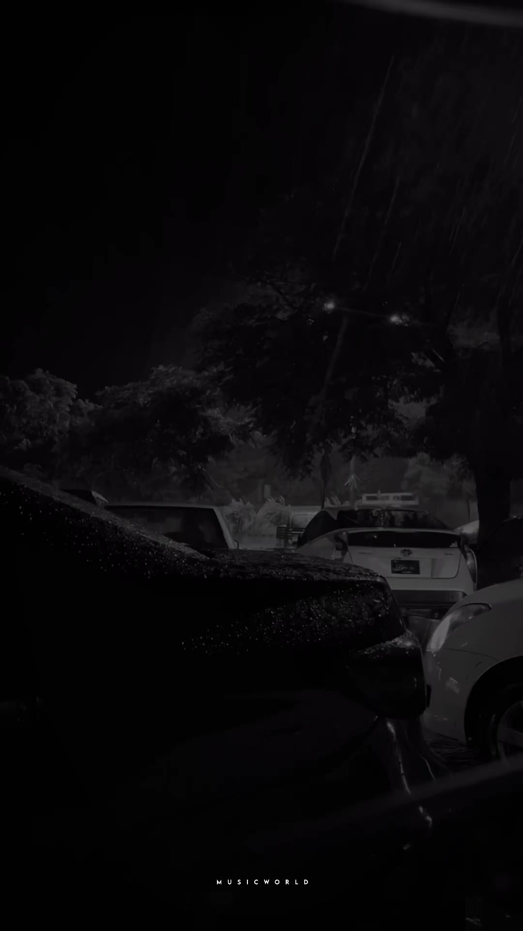 @𝗠𝘂𝘀𝗶𝗰 𝗪𝗼𝗿𝗹𝗱 ✔
