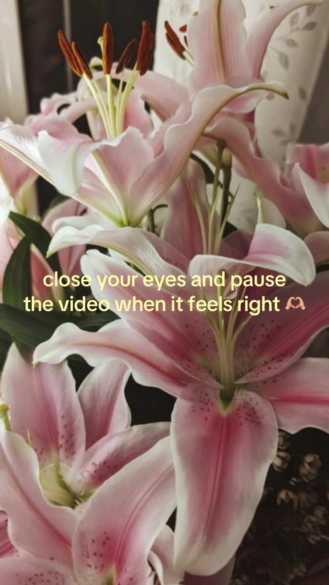 @๐หเฟ๐๐๐๐๐ ๐๐๐๐๐๐๐ห