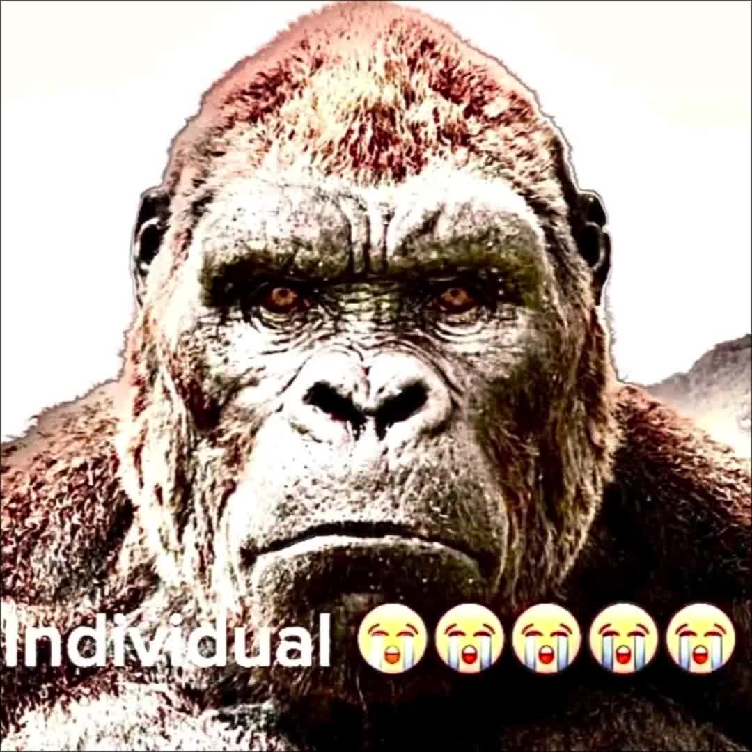 @𝚃𝚒𝚝𝚊𝚗𝚘𝚜𝚊𝚞𝚛𝚞𝚜