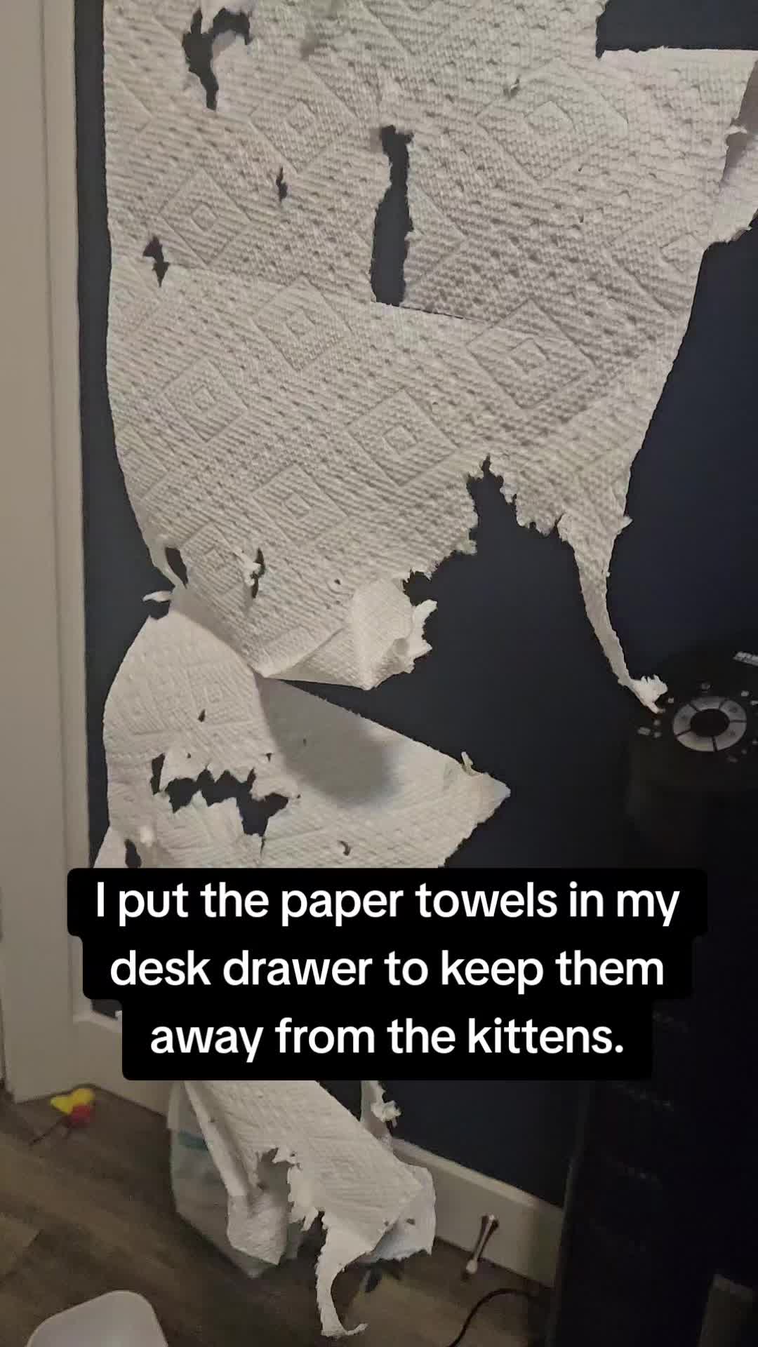 @UtahCatTrapper