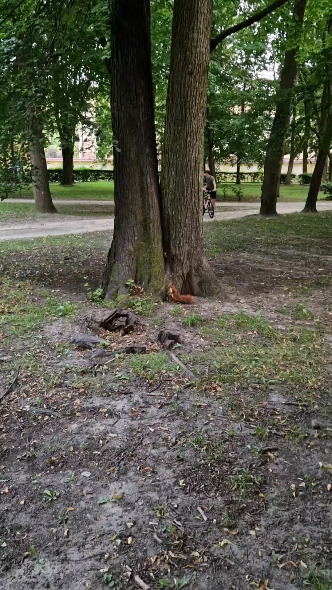 @_dzikiwschod_