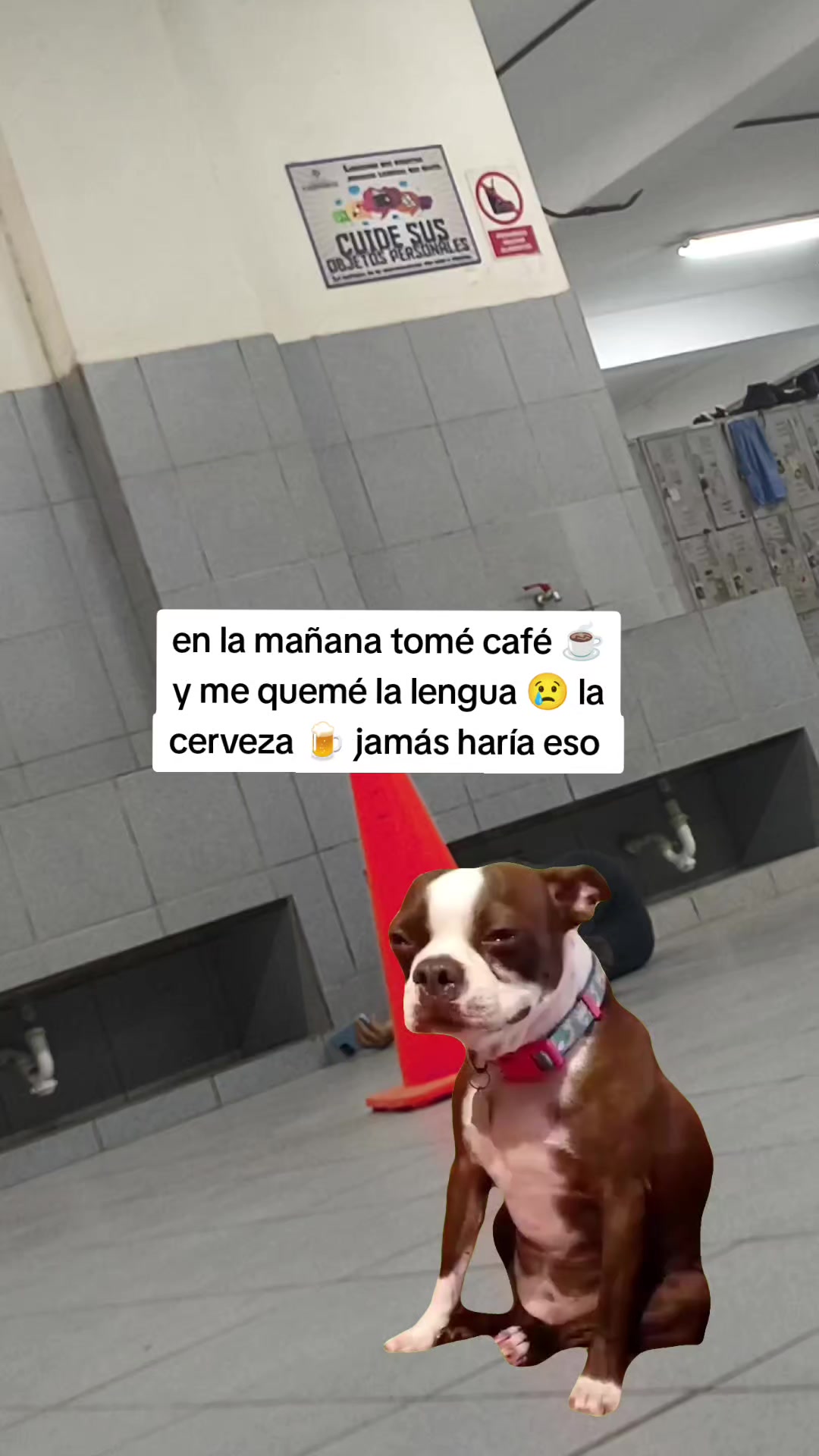 @cara de sueño