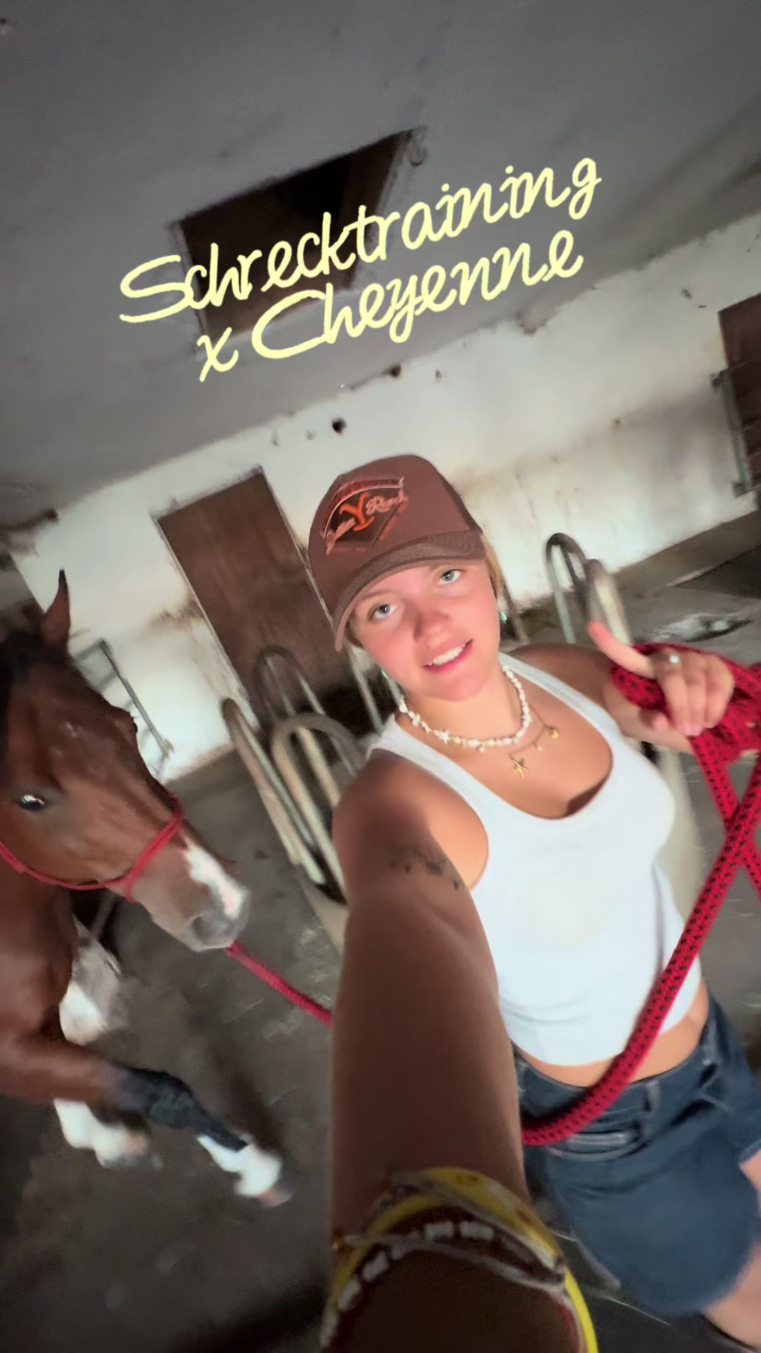 @Alena🤠