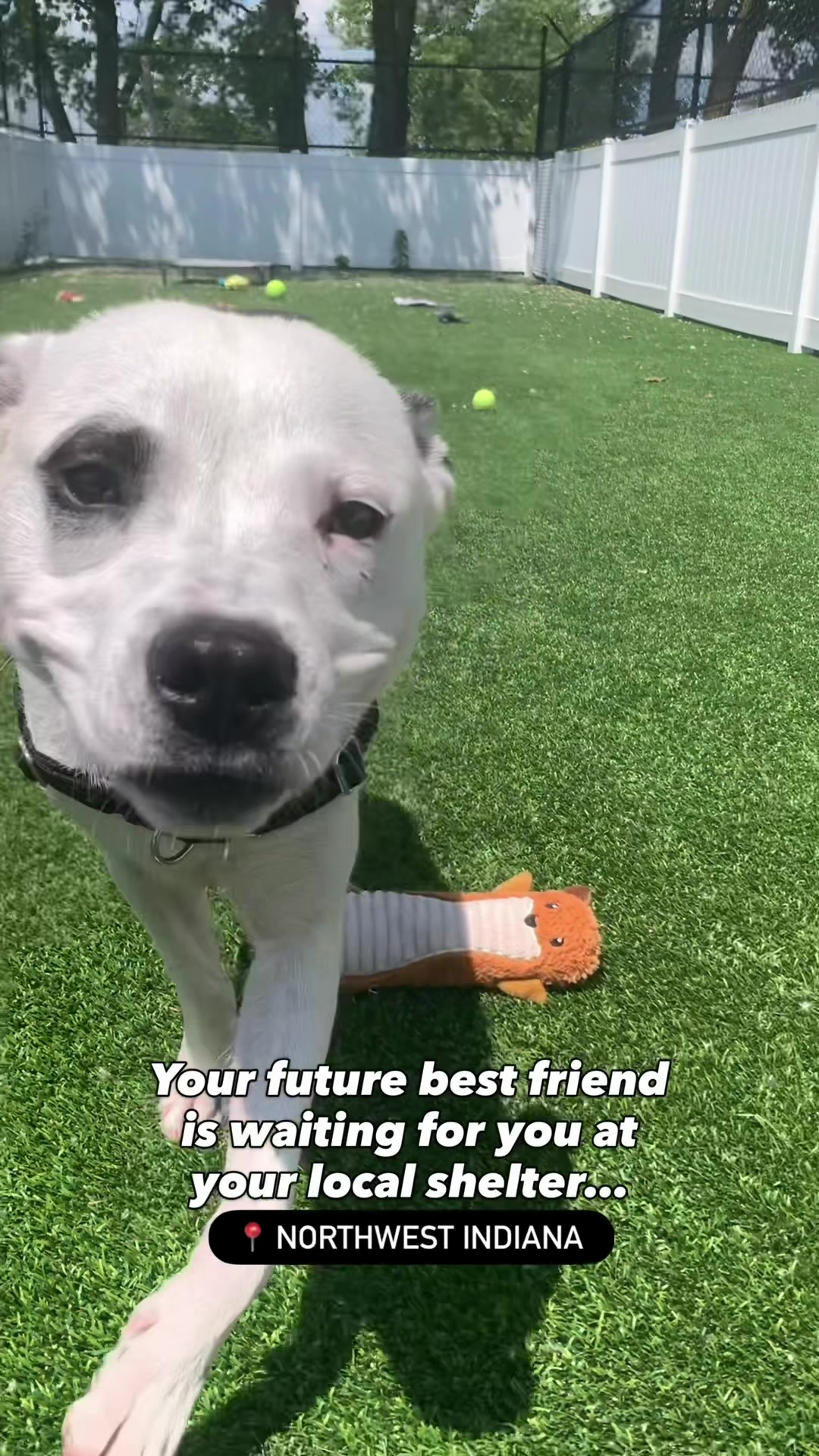 @liveNWI