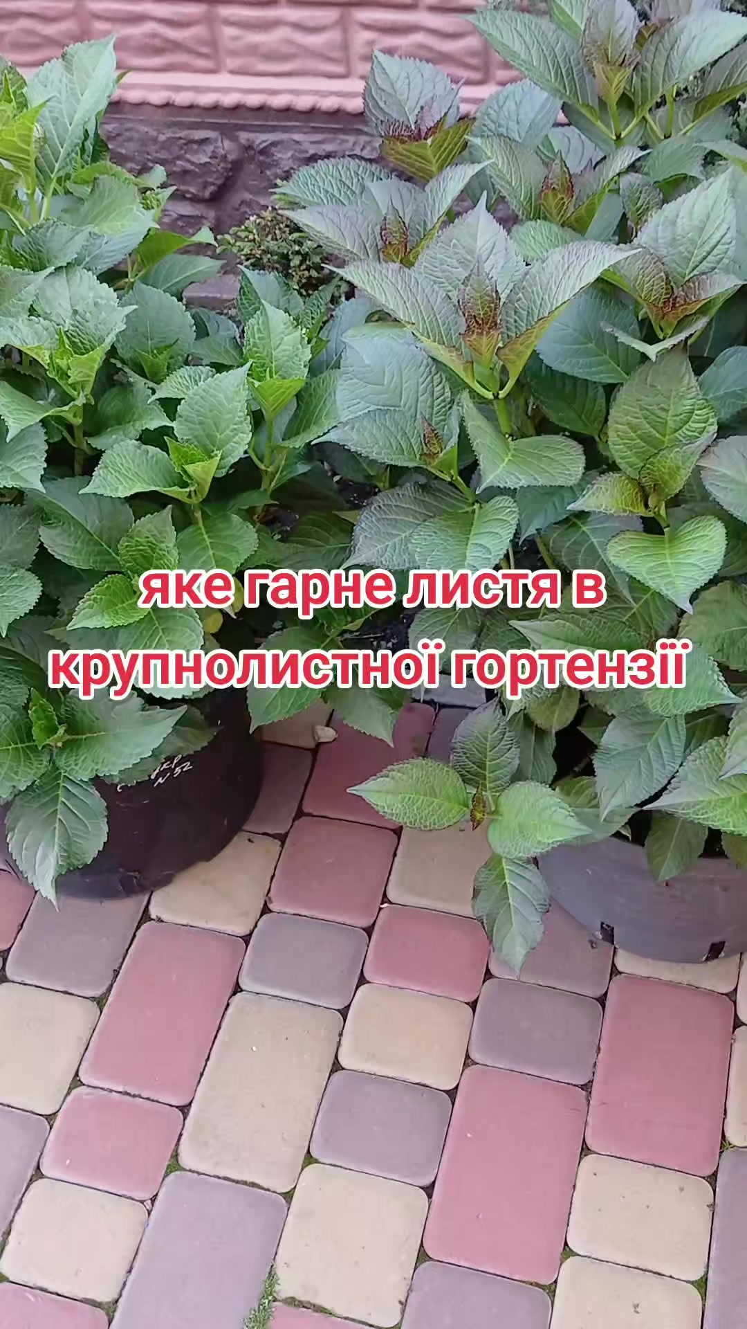 @🦋 Larisa_Fedorovna 💐