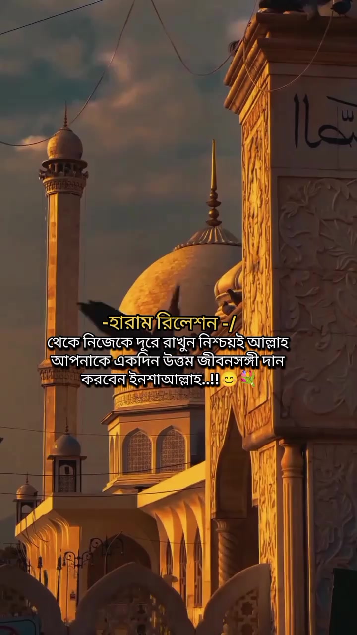 @❀🕋ইসলামের পথে🕋❀