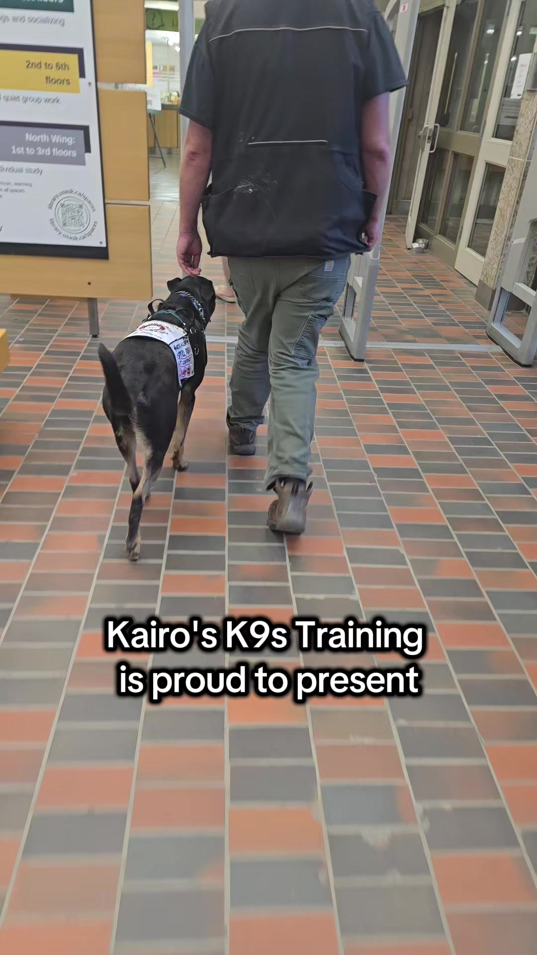 @Kairo's K9s Training 🇨🇦