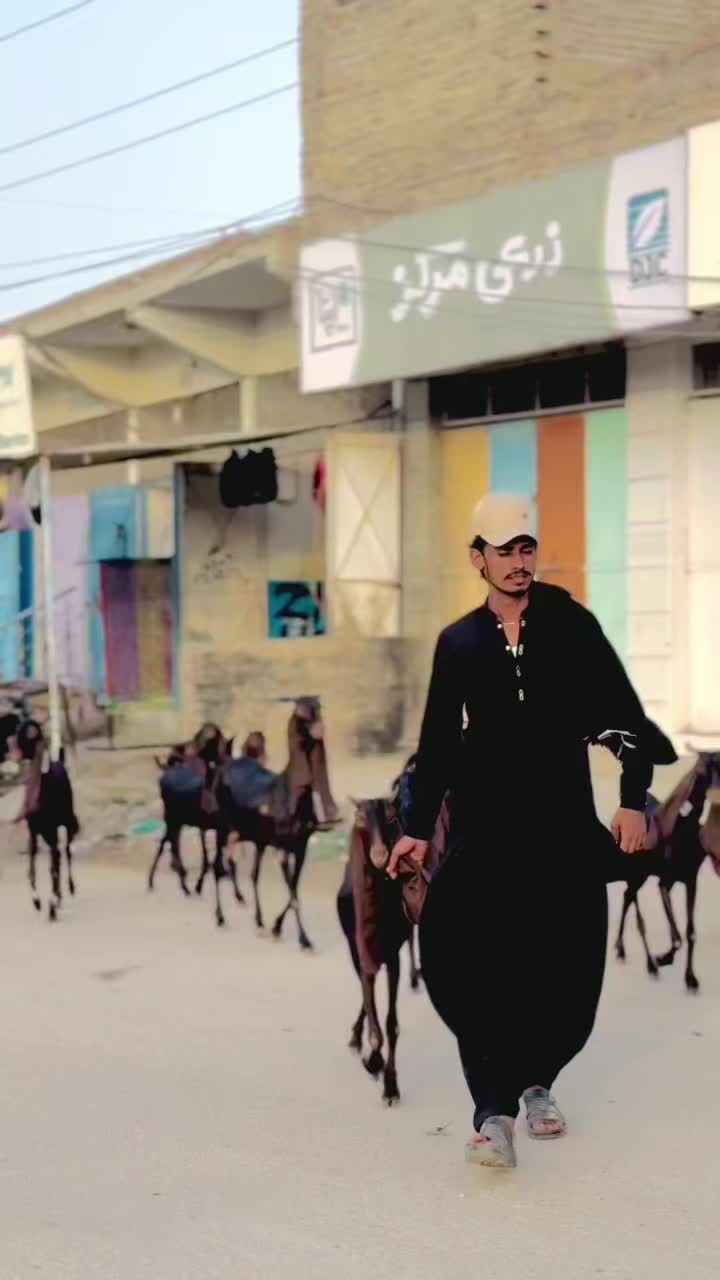@✨.زاهد سولنگي واپاري. 🐐