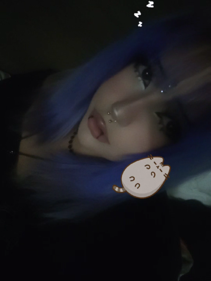 @kitty≽(•⩊ •マ≼