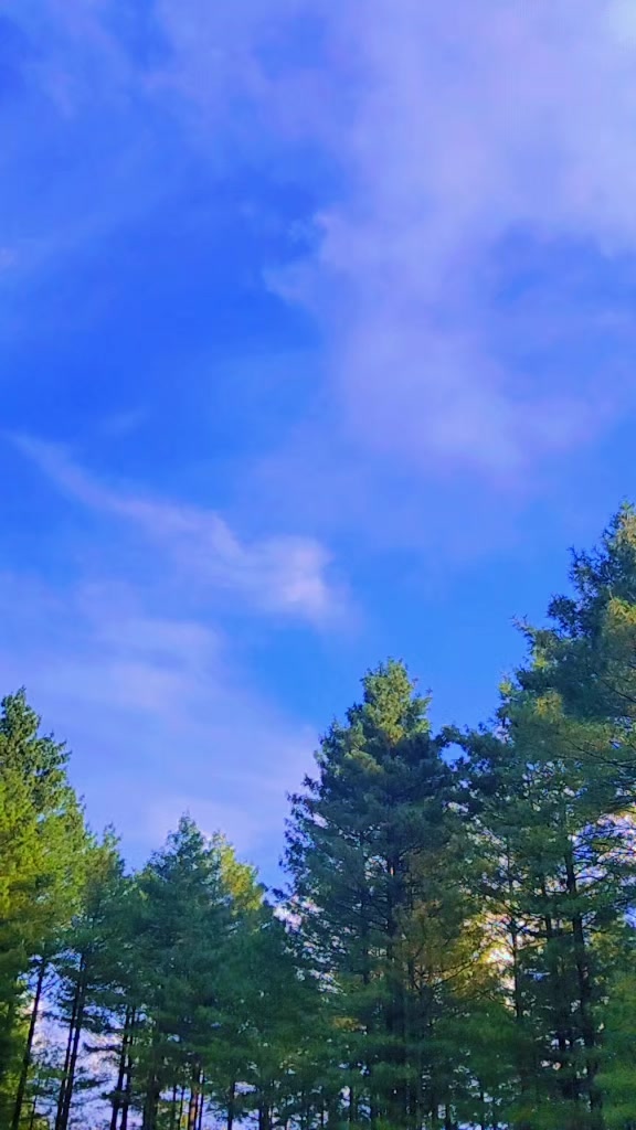 @꧁༒☬𝓜𝓾𝓳𝓮𝓮𝓫 𝔃𝓪𝓯𝓪𝓻☬༒꧂