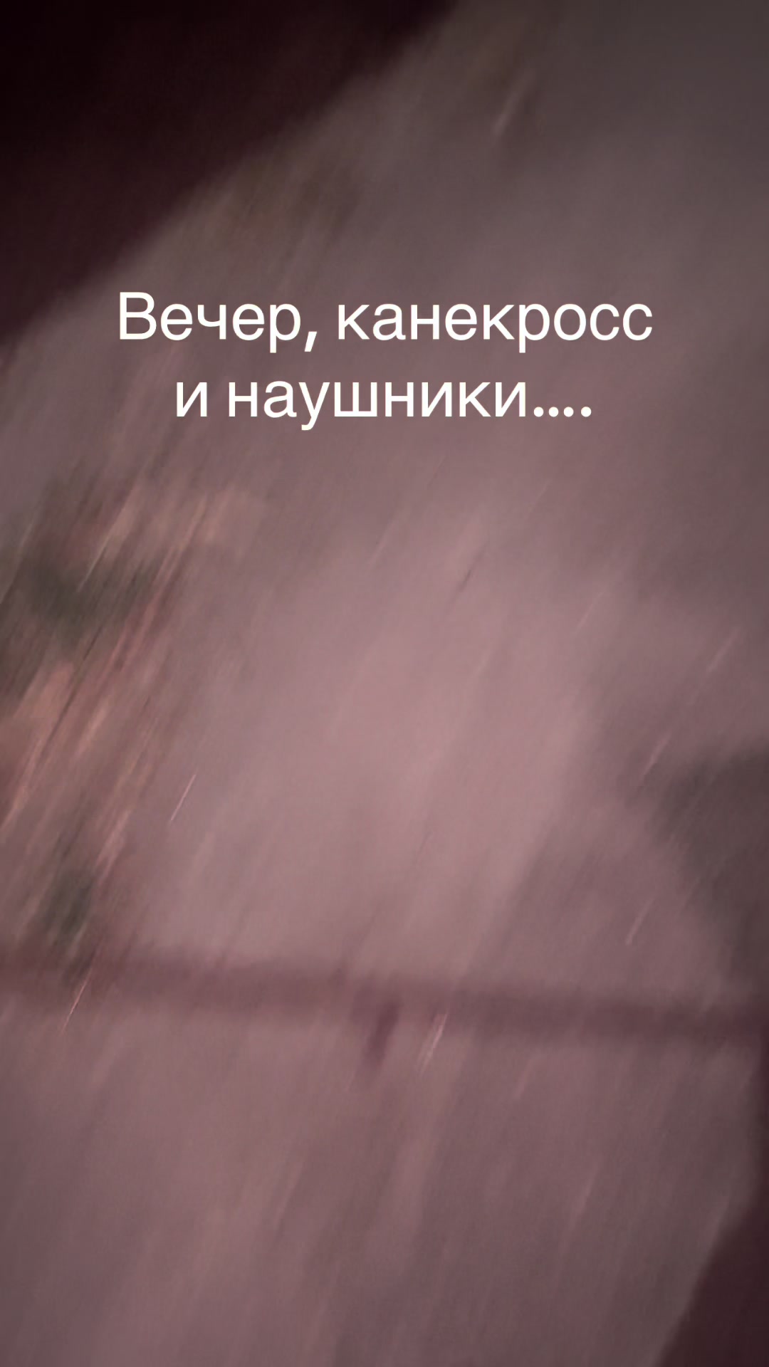 @НЕ КОРГИ