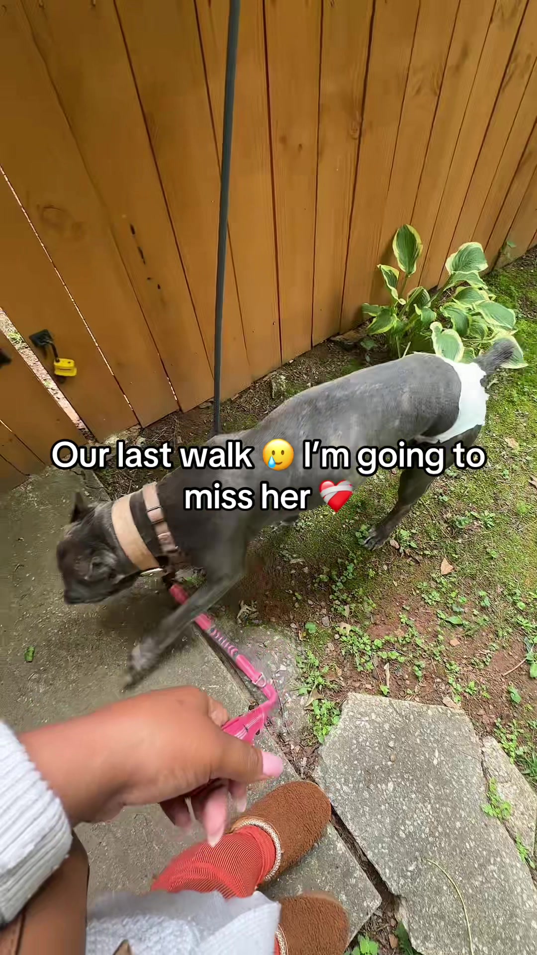 @kyssEnvied