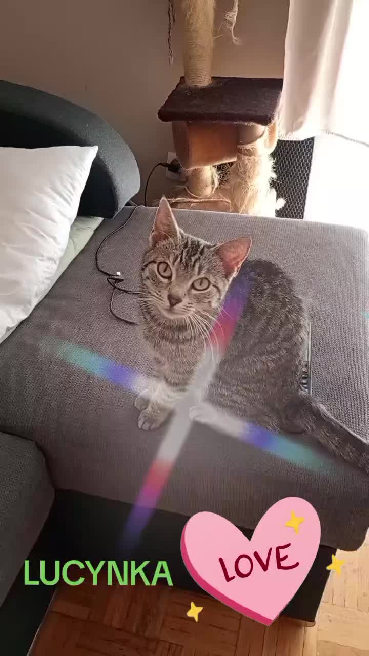 @OG&Oacute;REK KSIĘDZA &hearts;️TEAM MAGIA✨