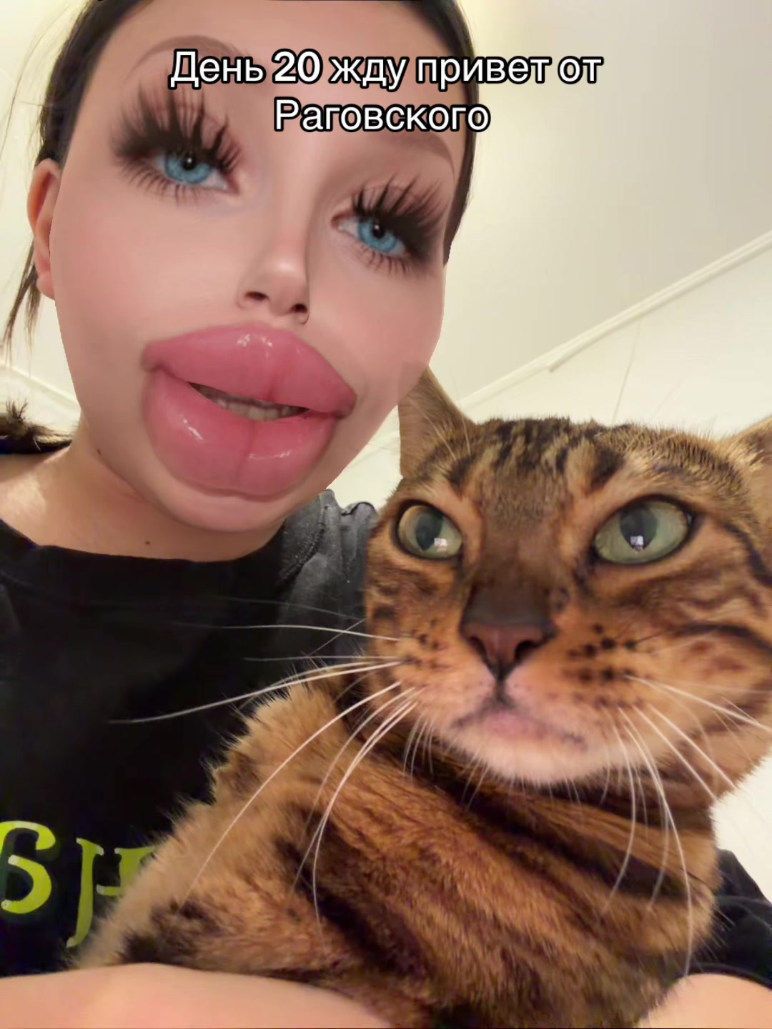 @тгк:Hahaface