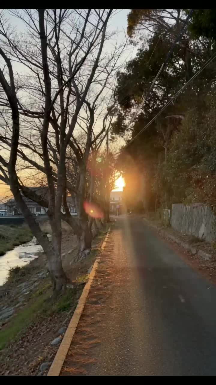 @花、散る頃に