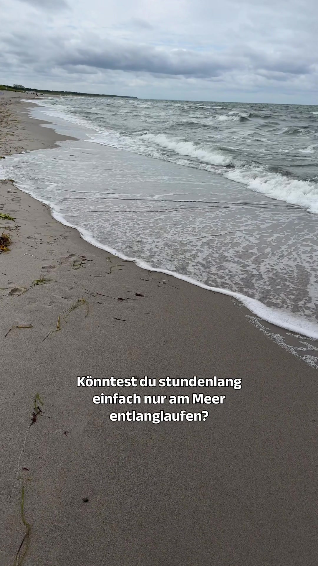 @maike.laube