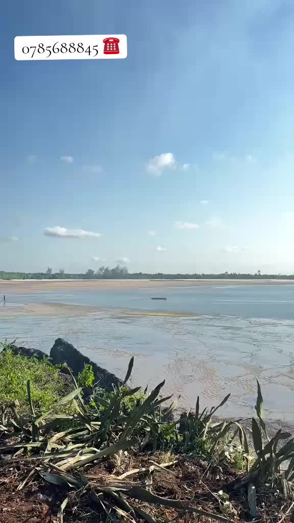 @DALALI_ MAKINI_ KIGAMBONI 1