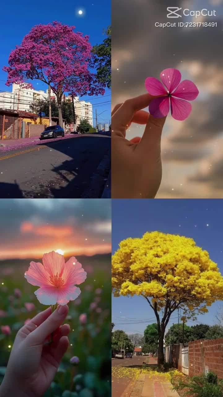 @&Eacute;dna Gon&ccedil;alves