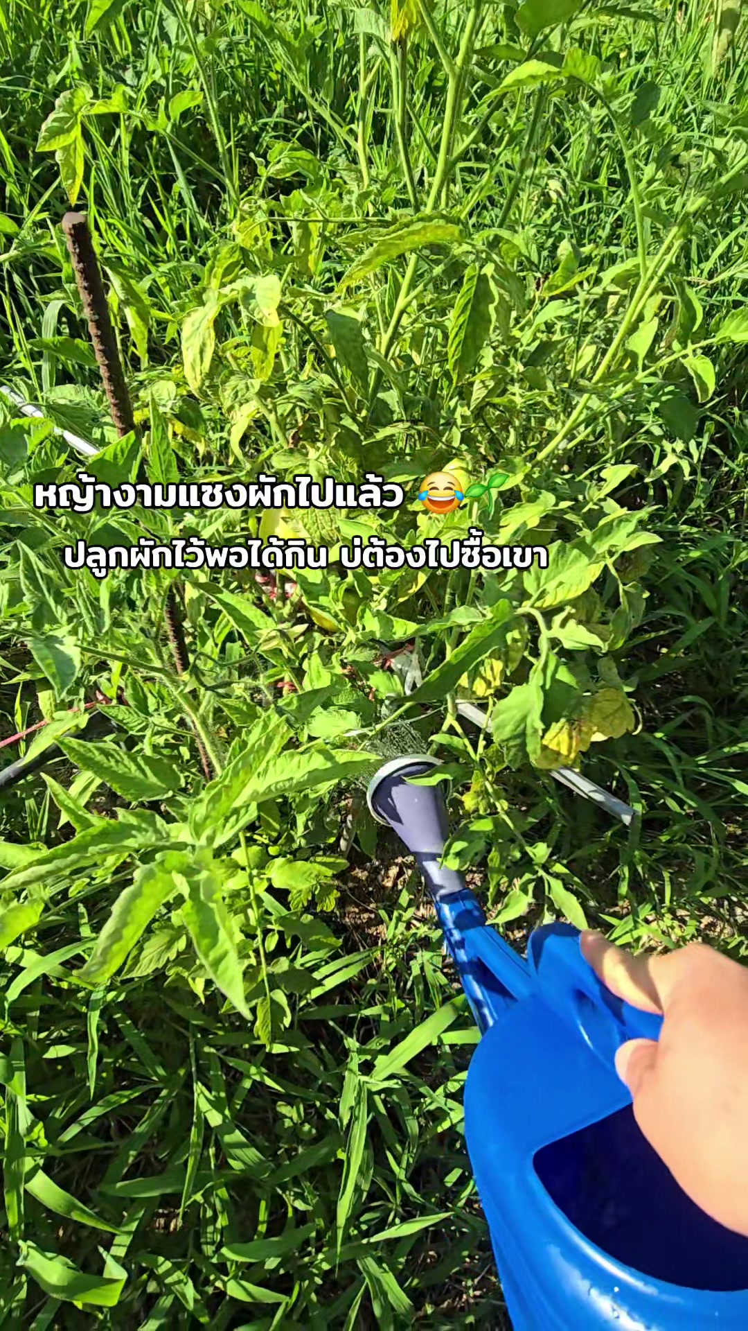 @김 kim 🇰🇷..