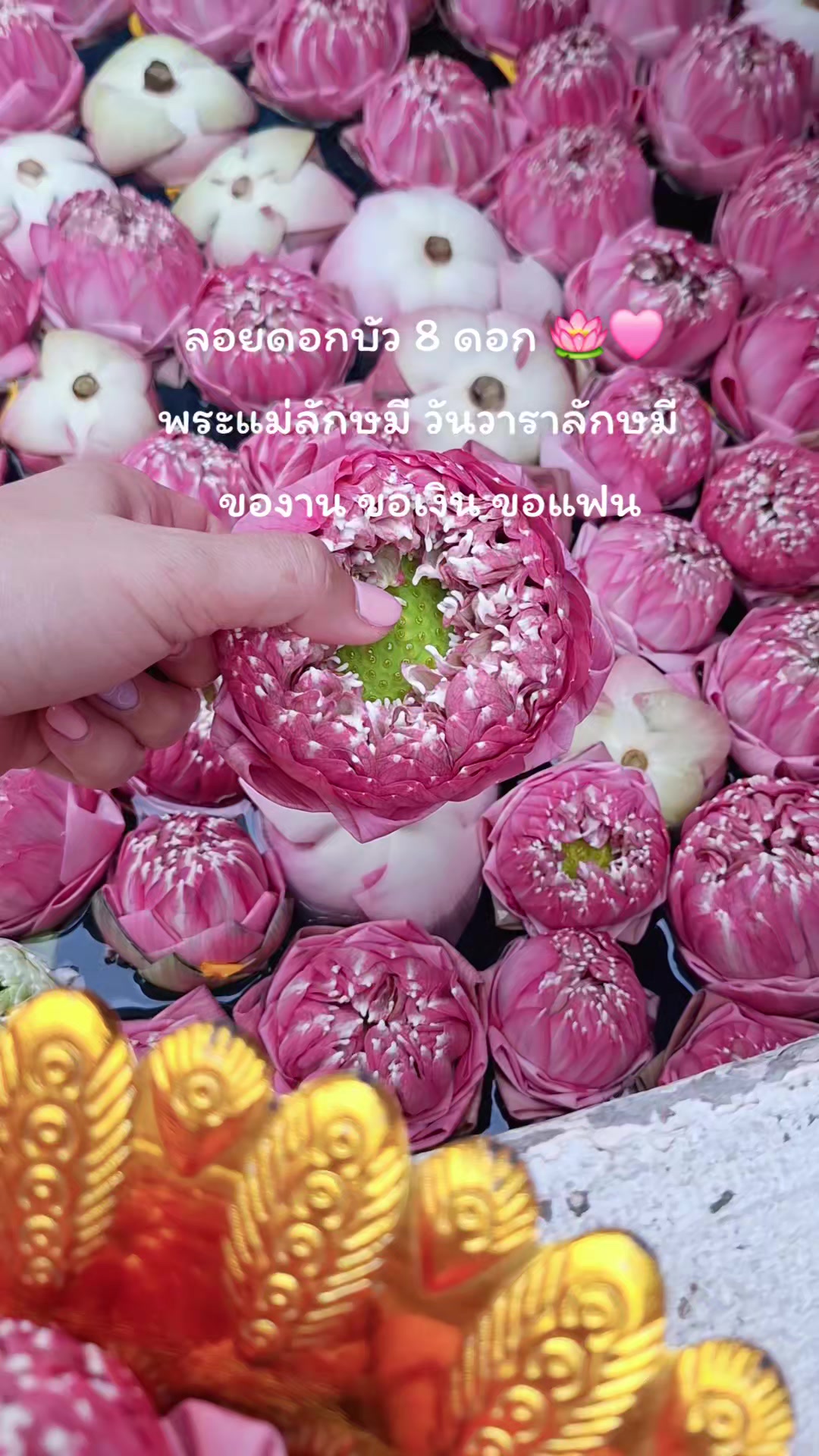 @𝙶𝚘𝚢𝚢𝚢𝚢𝚢𝚢𝚢𝚢🧸⏳️💰