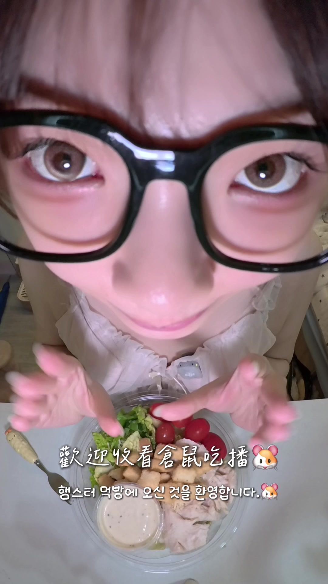 @倉鼠吃播🐹