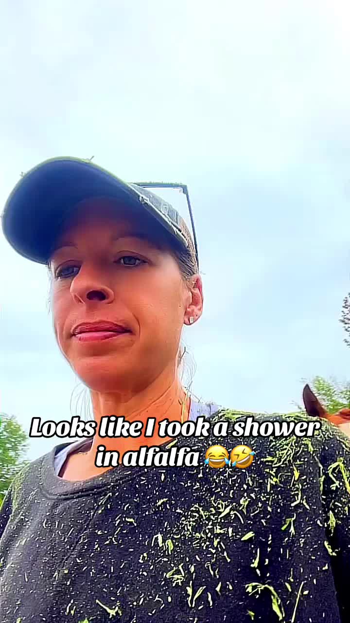 @Kim