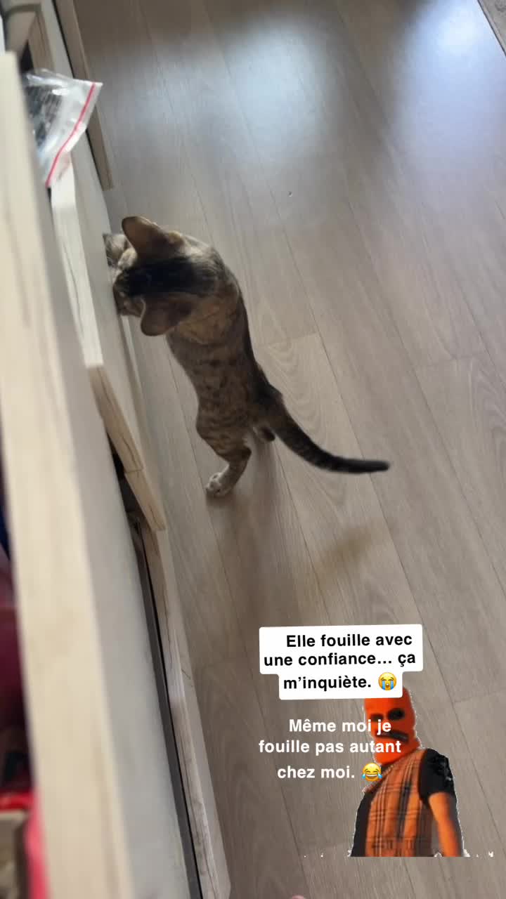 @samiakikks🌶️🍯