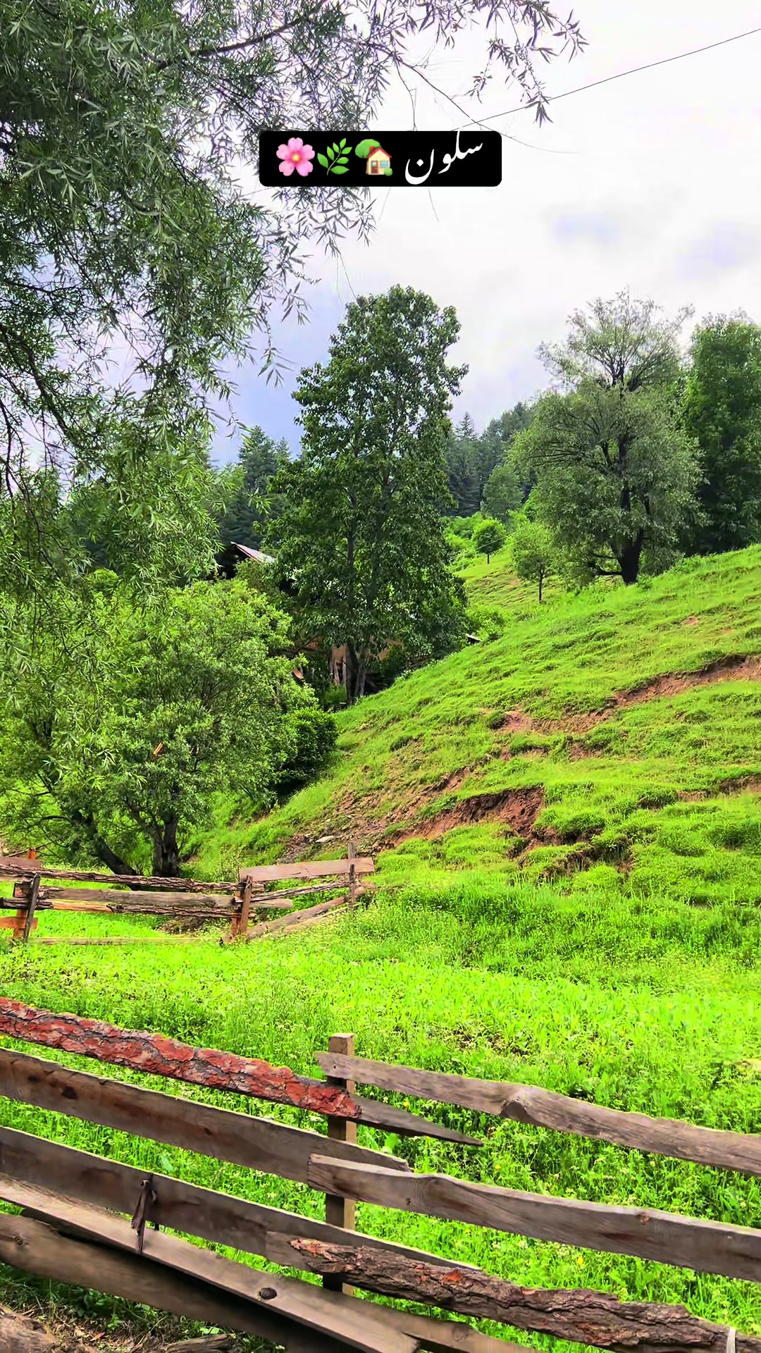 @Pakistan___Beauty