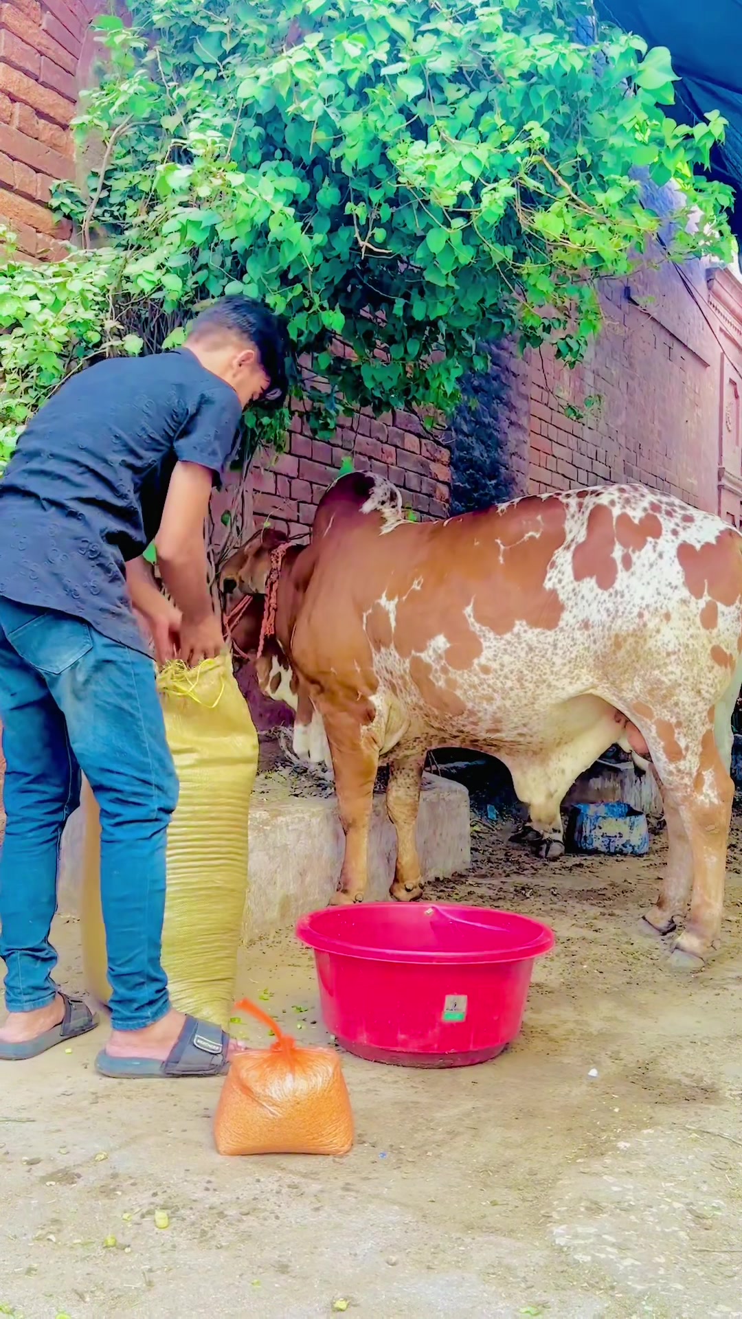 @Anus,Hyderabadi🇱🇾