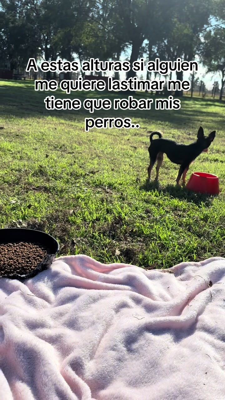 @Stefani Maio