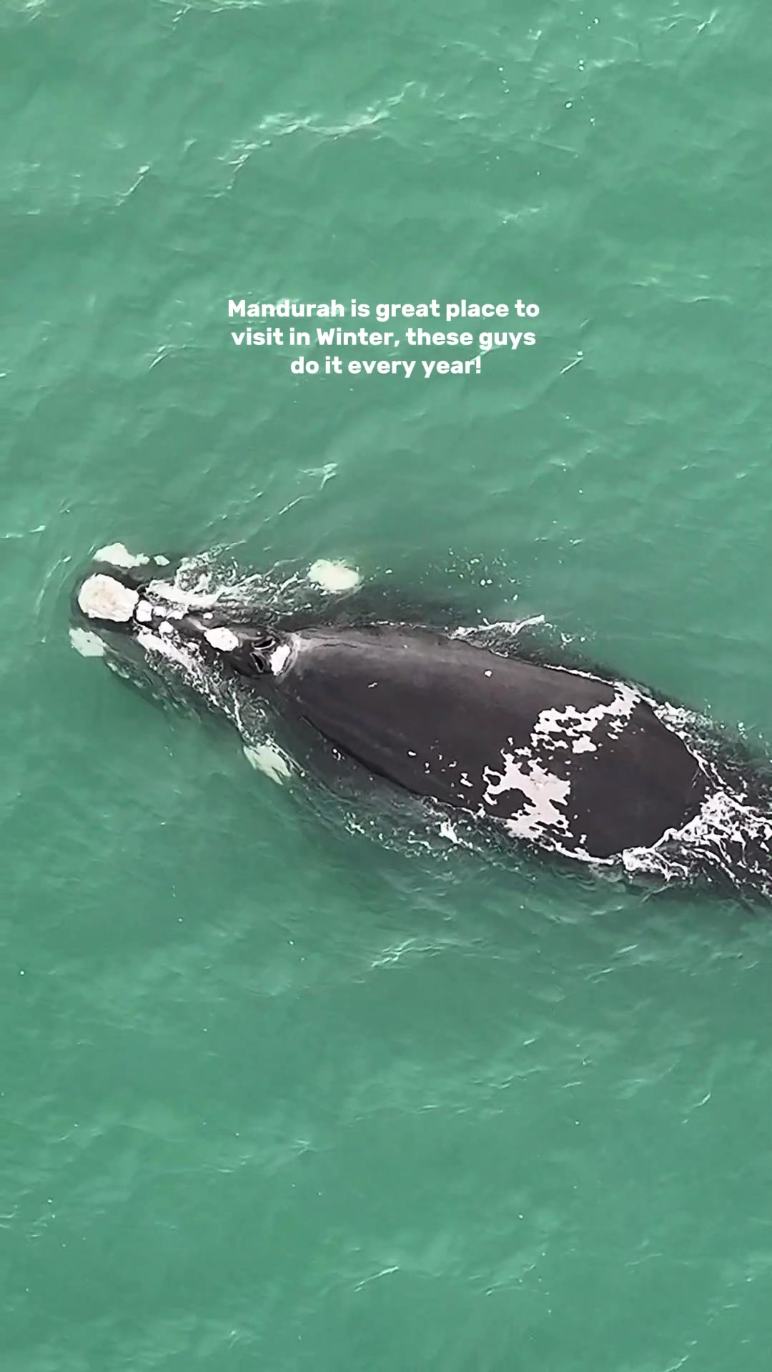@Visit Mandurah