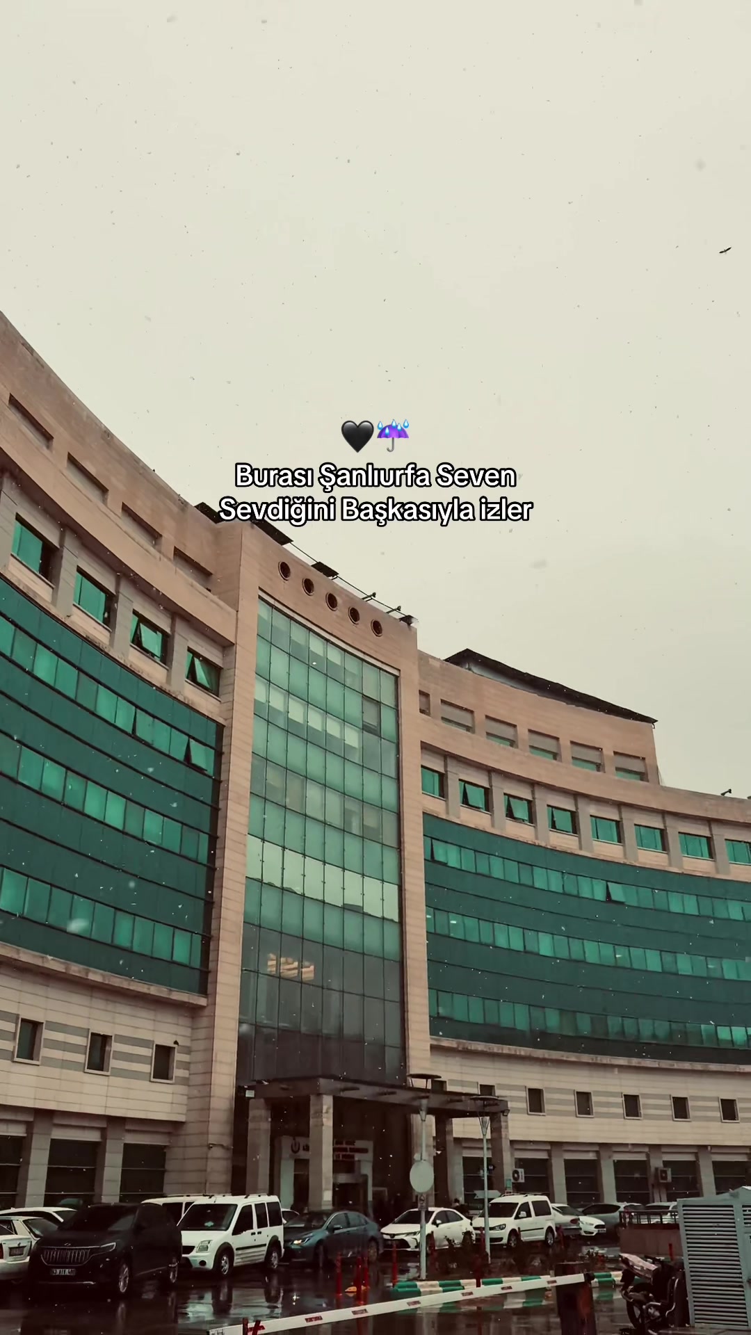 @&rdquo;𝐒𝐞𝐲𝐟𝐮𝐥𝐥𝐚𝐡&rdquo;