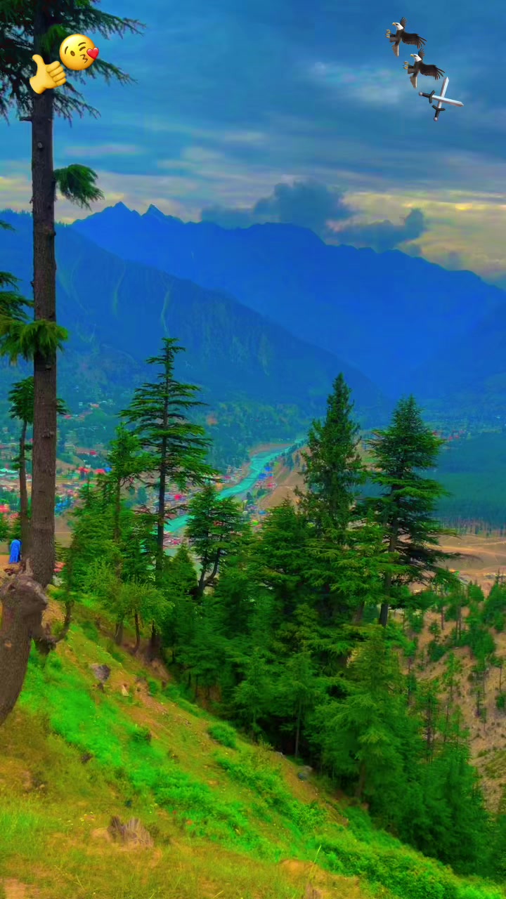 @@Riyyankhan21