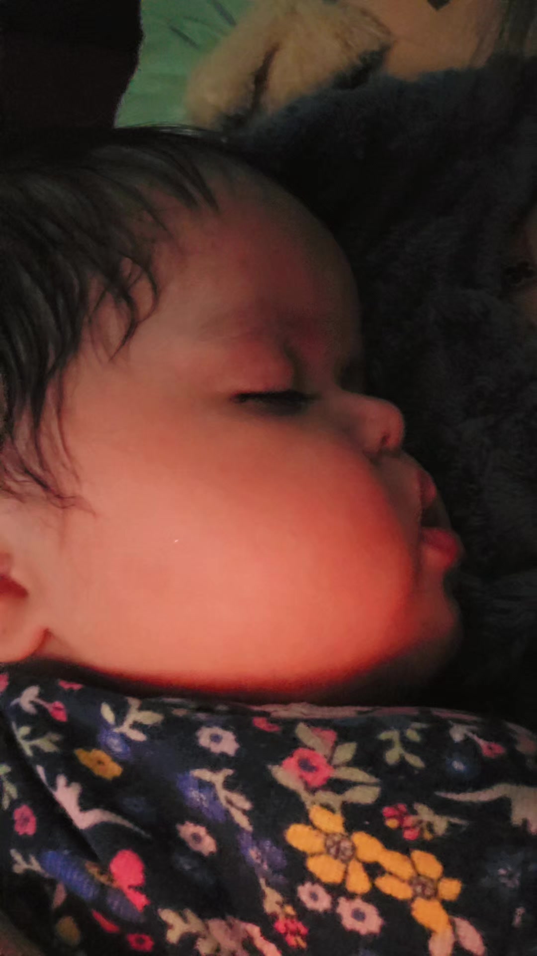 @La vida de baby Luna