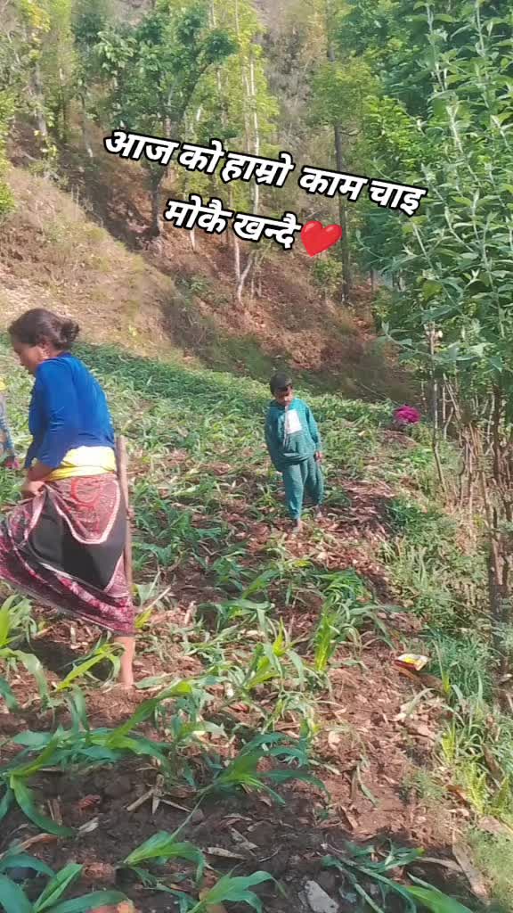 @Tulsi Xettri