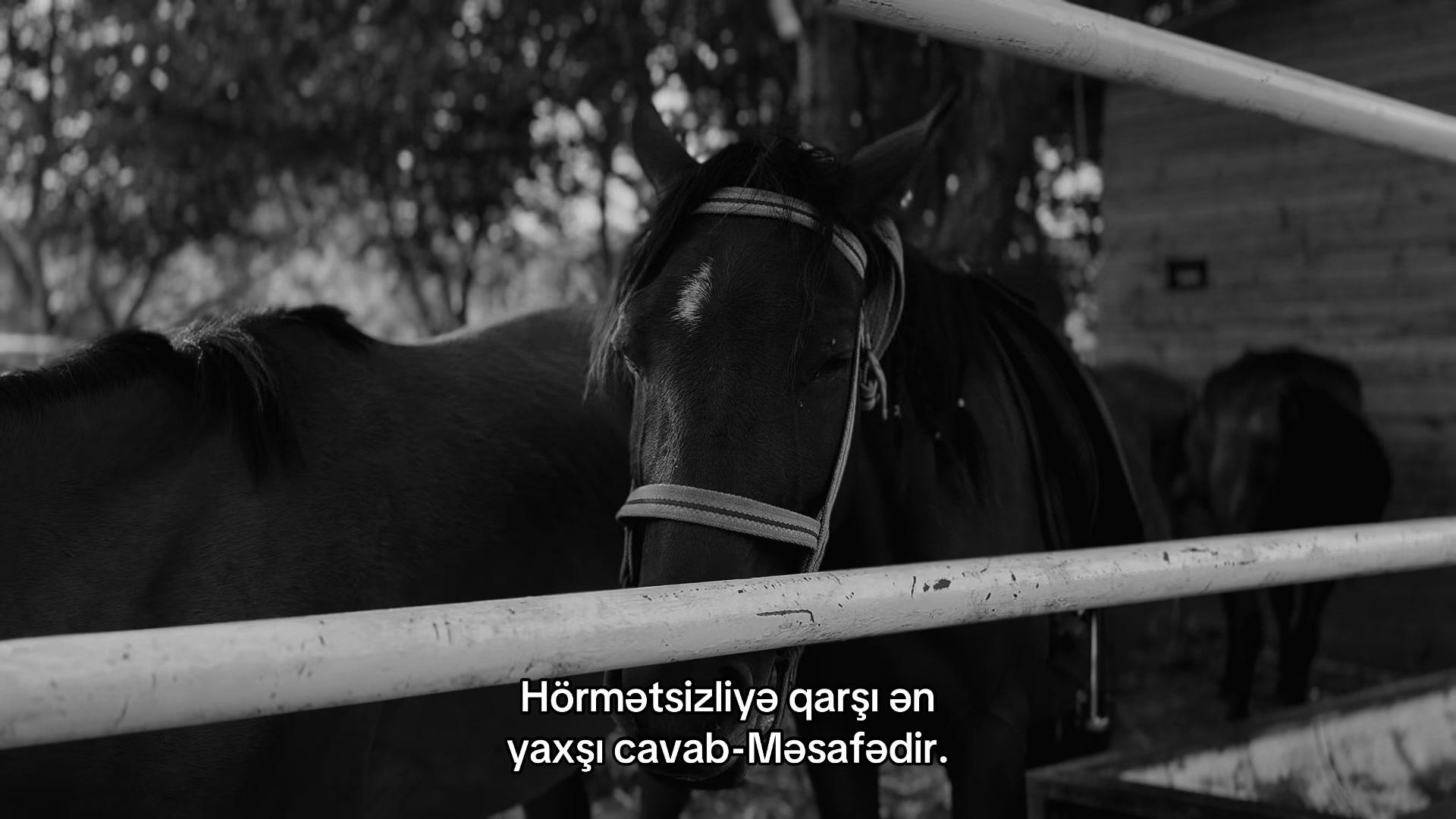 @Jafarov