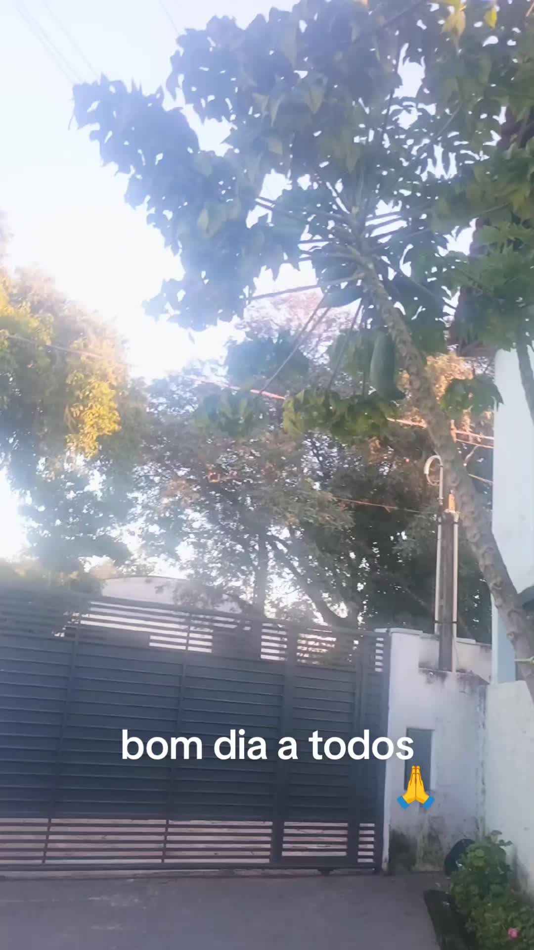 @Sônia Tavares campos