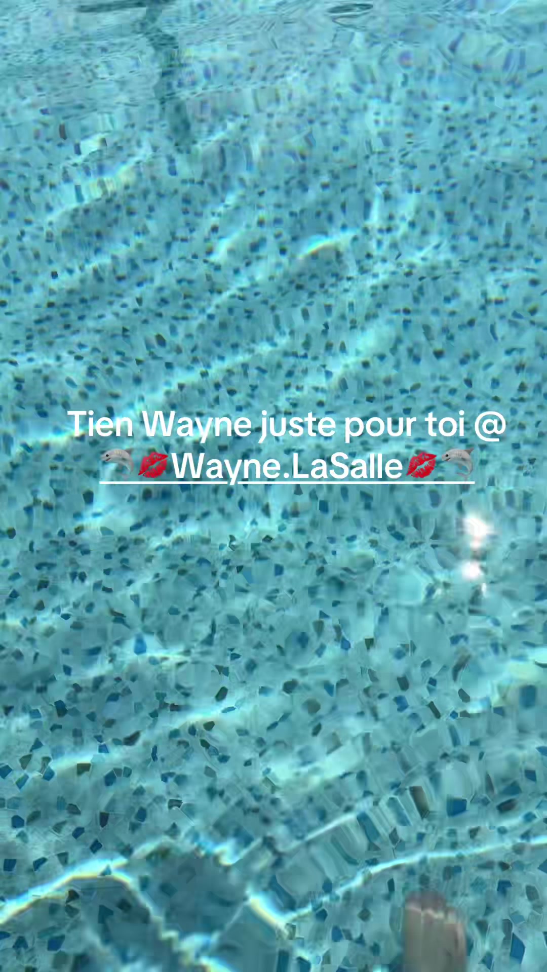 @𝐶𝑖𝑛𝑑𝑦𝑏𝑜𝑖𝑣𝑖𝑛🤍💋🦈