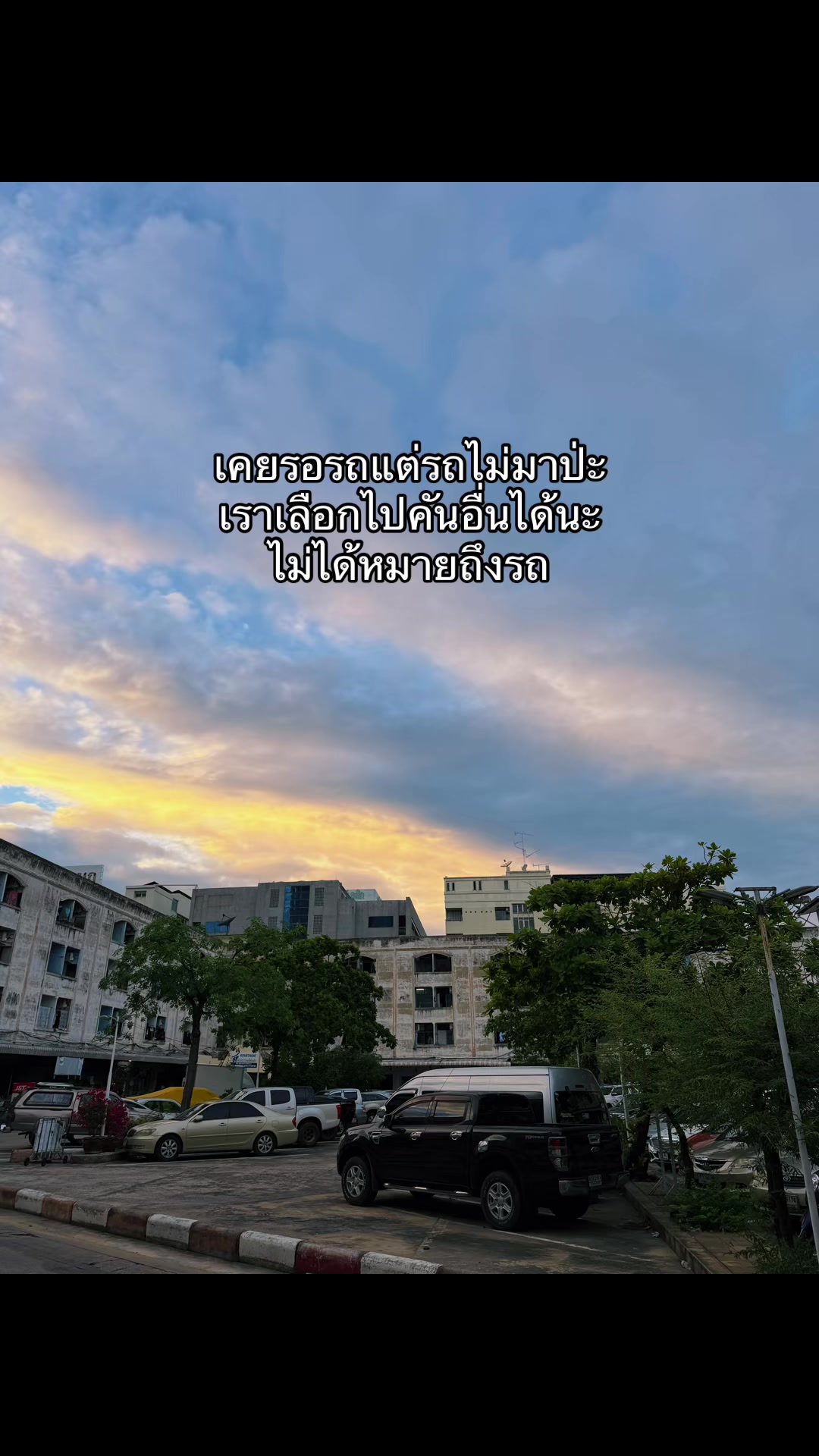 @ชีว๊าสส&lsquo;ส ชวาร็อฟกี้