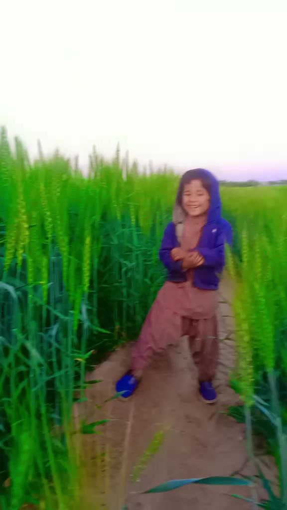 @Irfan Ali
