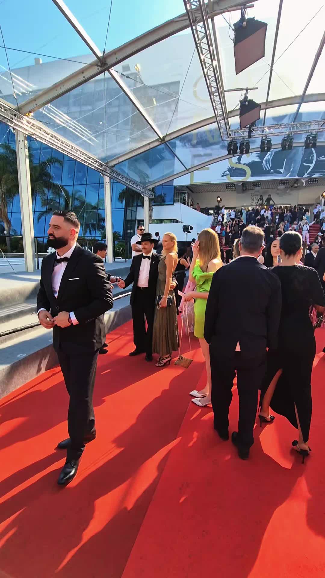 @djuvegija
