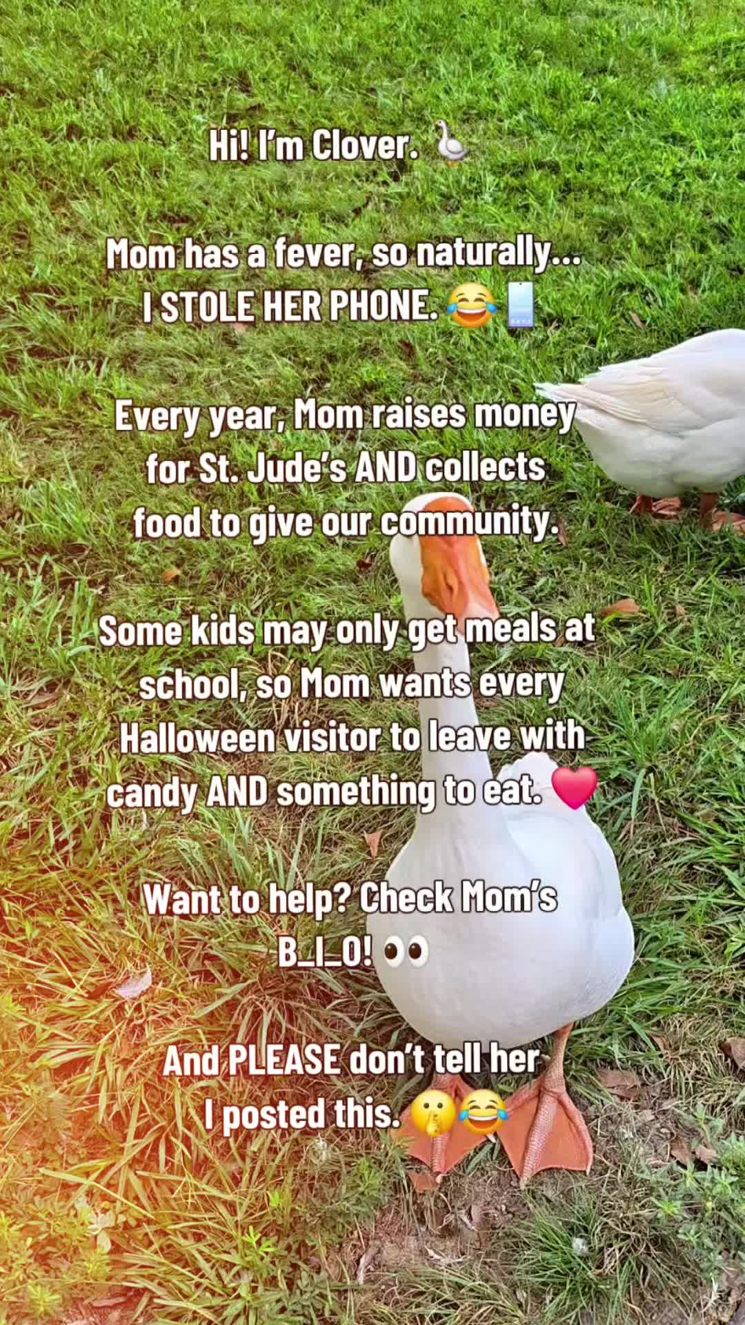 @Skeletonsonbeaverpond❌️🦆☠️