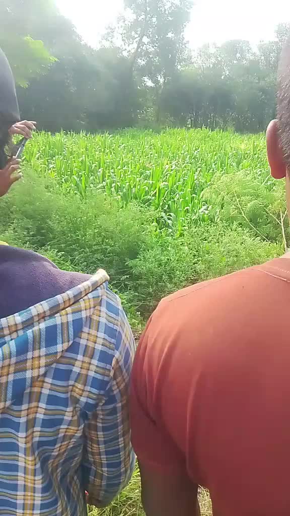 @Tuntun Kumar